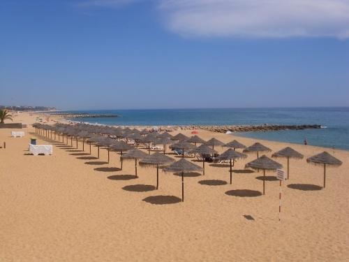 Bed and Breakfast Residencial Nosso Paraiso Картейра Экстерьер фото
